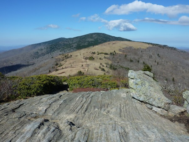 Hooray for Lorrie Preston!