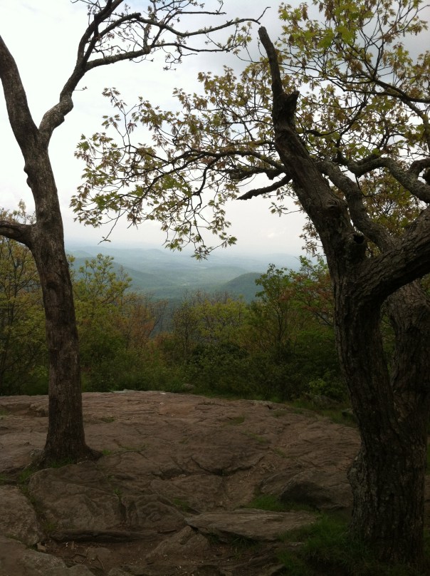 The Startin' Line for Dreams