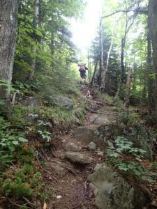 My section hike is finally over as of Aug. 7. It ended on a nondescript highway crossing north of Monson, Maine. During the 100 or so miles we hiked, we saw some of the most arduous hiking east of the Mississippi. Here's a fairly typical uphill grind. More pix soon. (Photo by Eric Graves, all rights reserved).